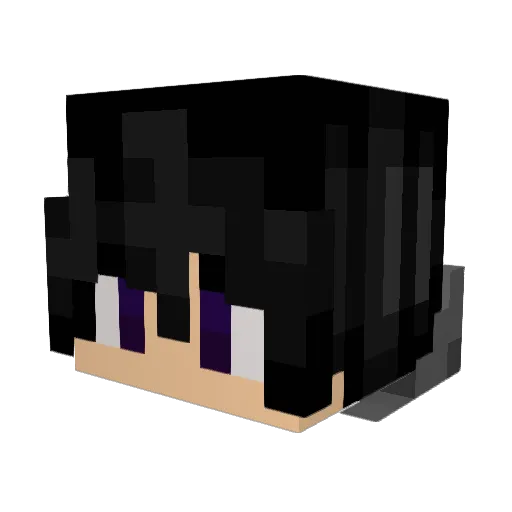Farbod_3256 Minecraft avatar head, 3D render