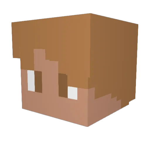Farcloth1 Minecraft avatar head, 3D render