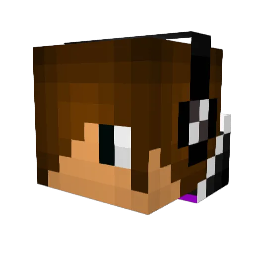Fardo12 Minecraft avatar head, 3D render