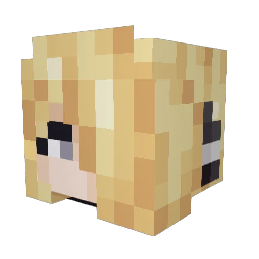 Fareed09 Minecraft avatar head, 3D render