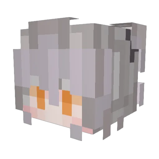Fareji Minecraft avatar head, 3D render
