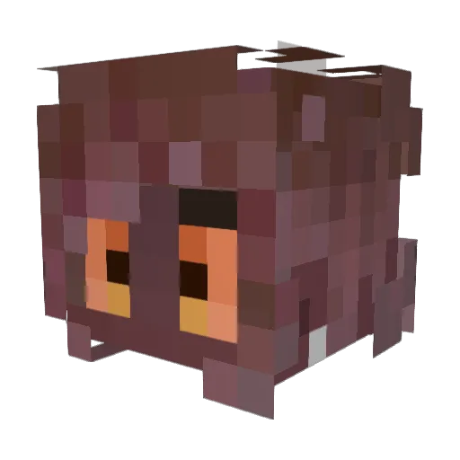 Farevern Minecraft avatar head, 3D render