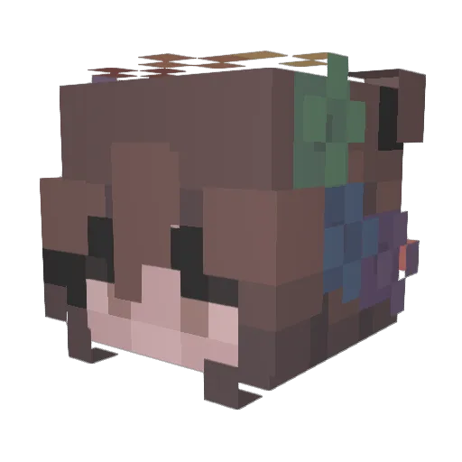 Fareywell Minecraft avatar head, 3D render