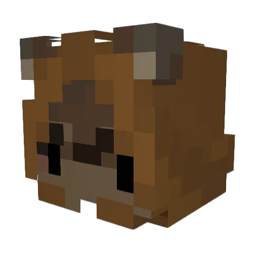 Farget_Knott Minecraft avatar head, 3D render