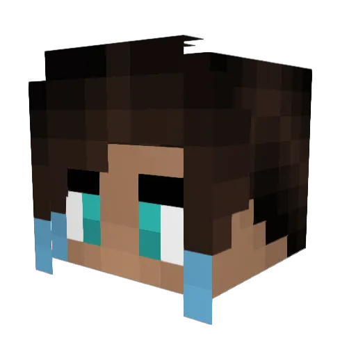 Farhacat Minecraft avatar head, 3D render