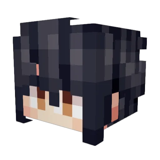 FariPLZ Minecraft avatar head, 3D render