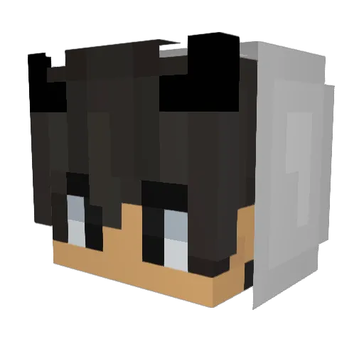 Fariazinn1 Minecraft avatar head, 3D render