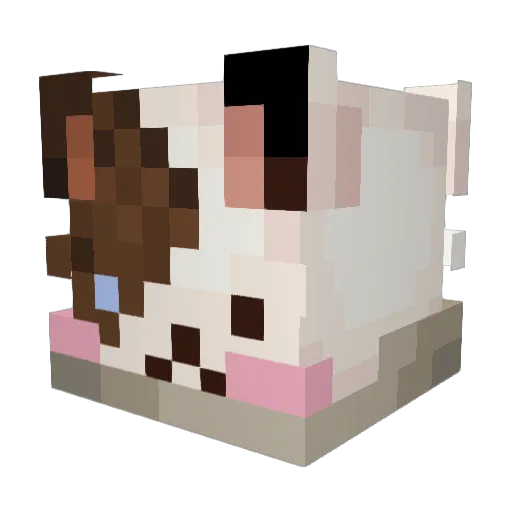 Fariestax2 Minecraft avatar head, 3D render