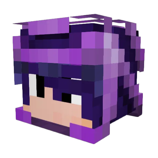 Farinha27 Minecraft avatar head, 3D render