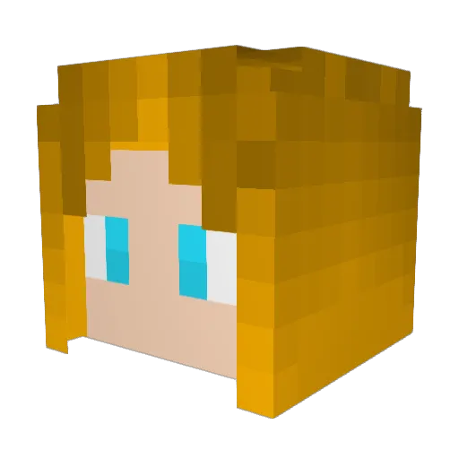 Farionsg Minecraft avatar head, 3D render
