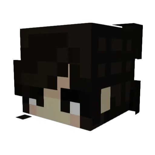 Fariot4 Minecraft avatar head, 3D render