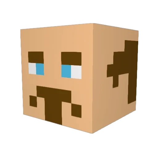 Farlander2821 Minecraft avatar head, 3D render