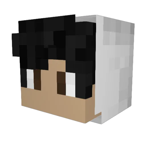 Farless Minecraft avatar head, 3D render