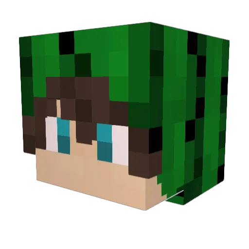 FarmCactus Minecraft avatar head, 3D render