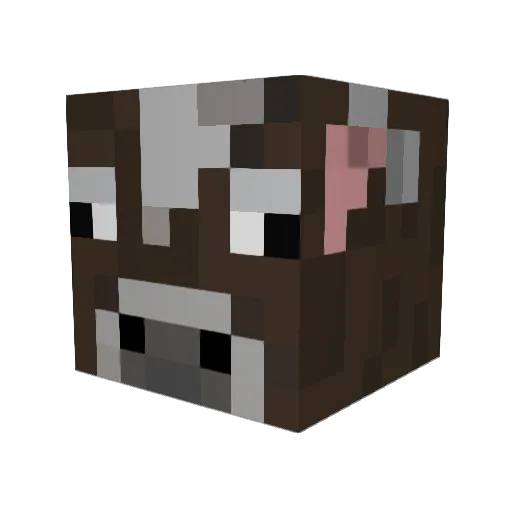 Farm_Puppy Minecraft avatar head, 3D render