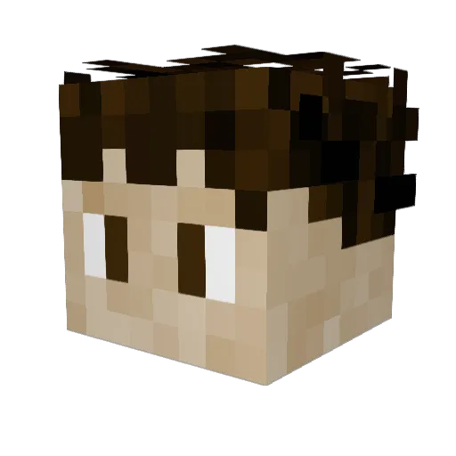 Farmarr Minecraft avatar head, 3D render