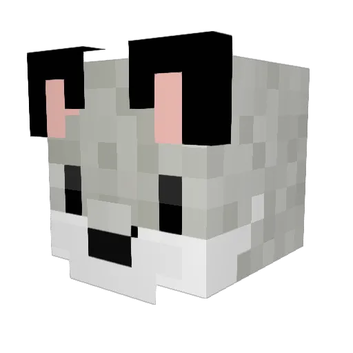 Farmboy_AUT Minecraft avatar head, 3D render