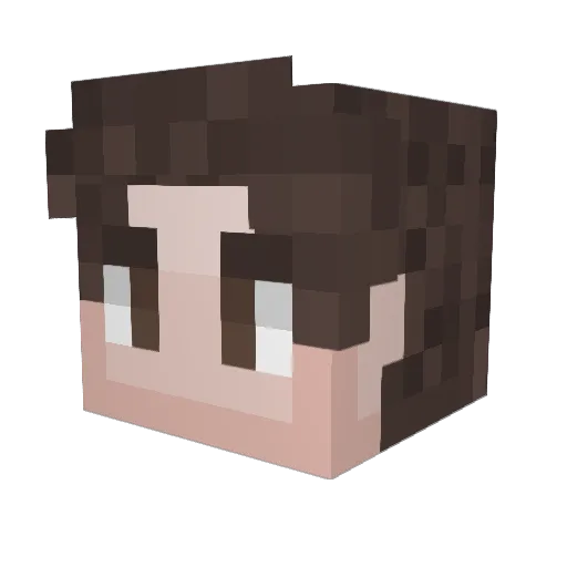 Farmer0000 Minecraft avatar head, 3D render