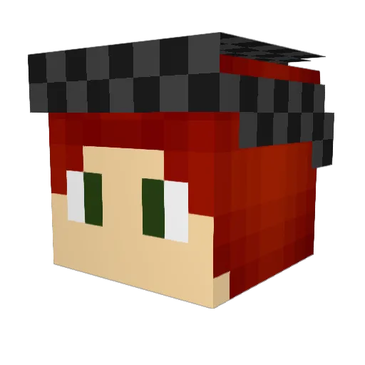 FarmerBill174 Minecraft avatar head, 3D render