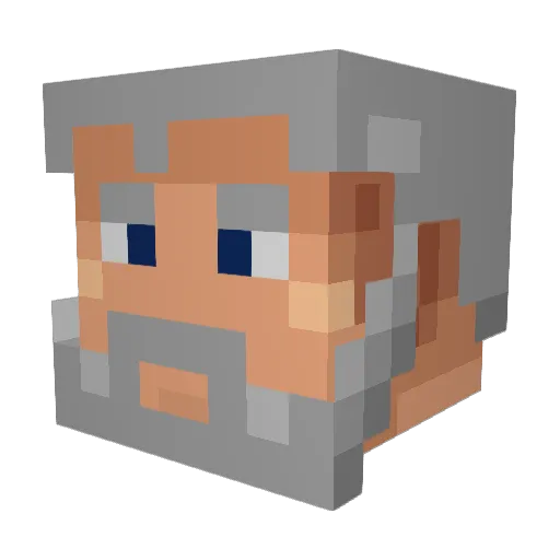 FarmerBoy3 Minecraft avatar head, 3D render
