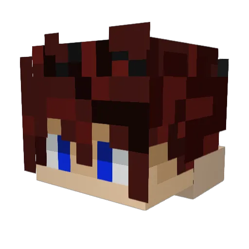 FarmerBoyz Minecraft avatar head, 3D render