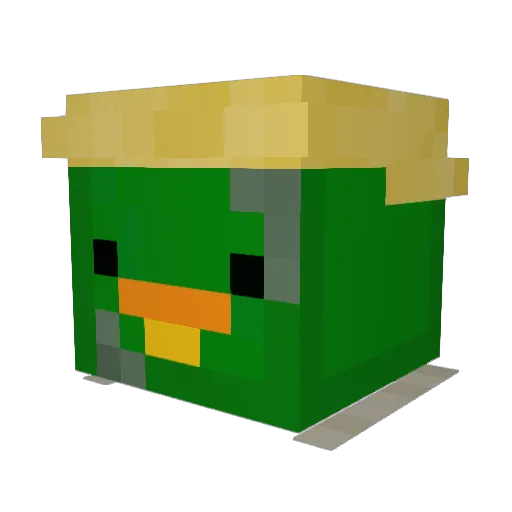 FarmerGuy22 Minecraft avatar head, 3D render