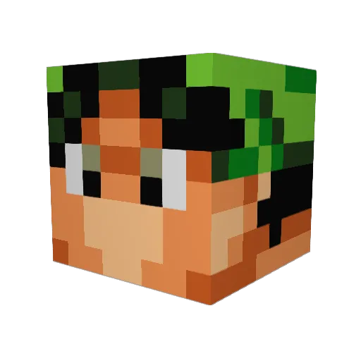 FarmerPo Minecraft avatar head, 3D render