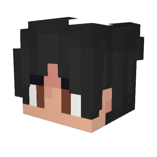 FarmerTyron Minecraft avatar head, 3D render