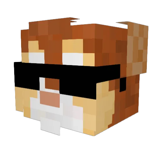 FarmingForLife Minecraft avatar head, 3D render