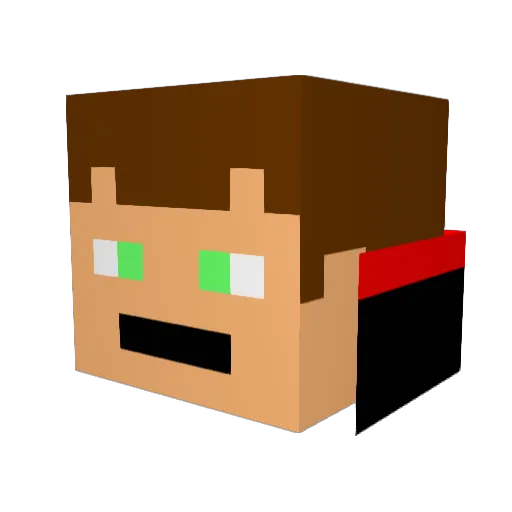Farmington55 Minecraft avatar head, 3D render