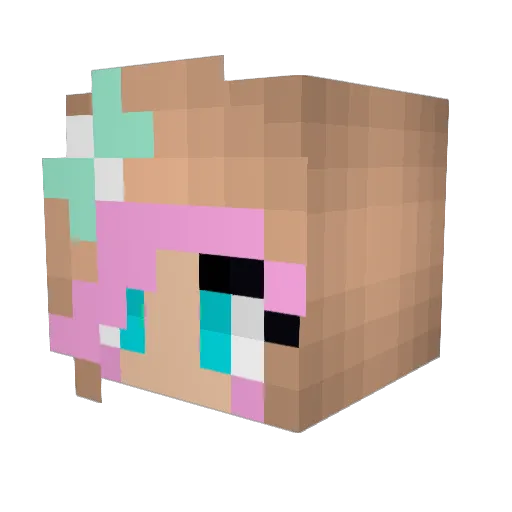 FarmsSpaghetti Minecraft avatar head, 3D render