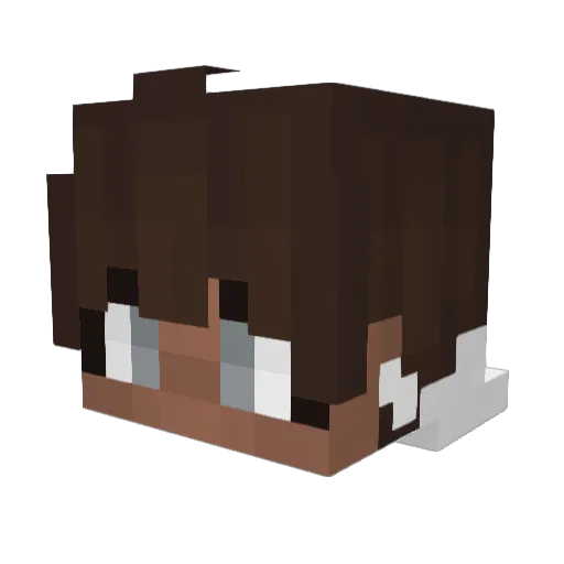 FarmtownTigers11 Minecraft avatar head, 3D render