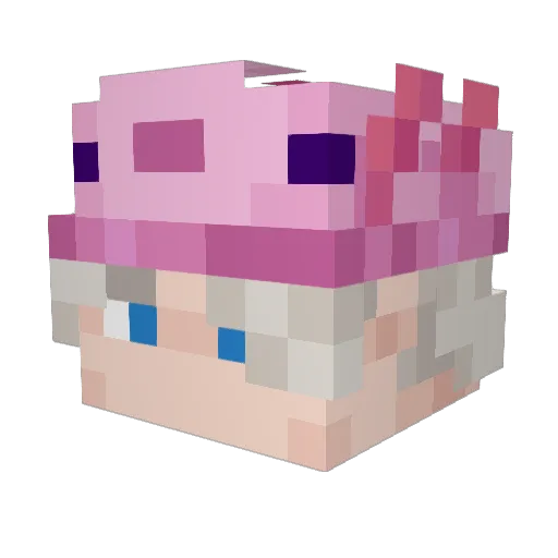 Farneser_ Minecraft avatar head, 3D render