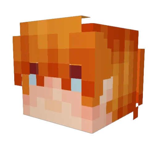FarnoshN Minecraft avatar head, 3D render