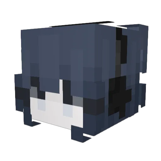 FarowerV Minecraft avatar head, 3D render