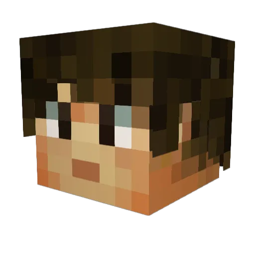 FarrahSa Minecraft avatar head, 3D render