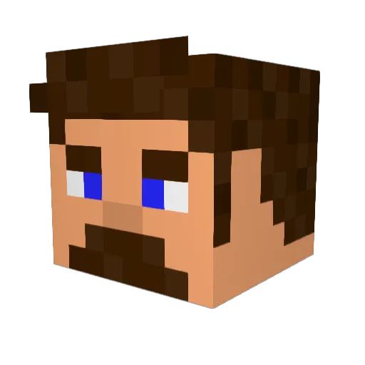 Farris2548 Minecraft avatar head, 3D render