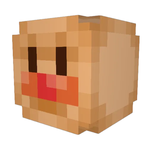 FarrisDaMenace Minecraft avatar head, 3D render