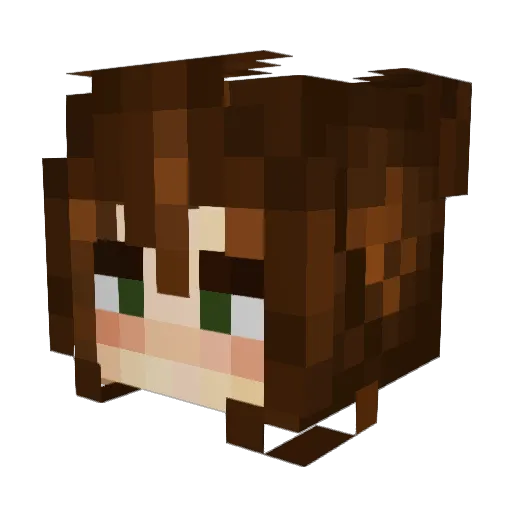 FarseeingFool Minecraft avatar head, 3D render