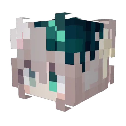 Farsighted807 Minecraft avatar head, 3D render