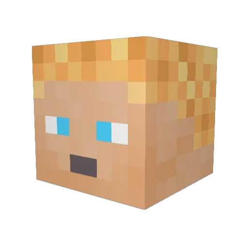 FartNinja01 Minecraft avatar head, 3D render