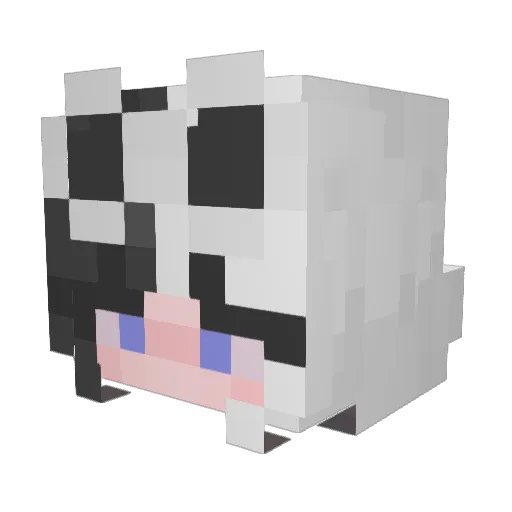 FartNinjaz Minecraft avatar head, 3D render