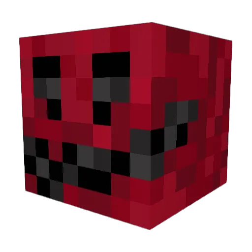 Fart_Master553 Minecraft avatar head, 3D render