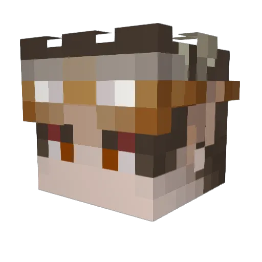 Fart_pig Minecraft avatar head, 3D render