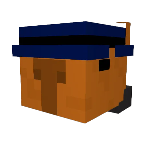 FartherCat89331 Minecraft avatar head, 3D render