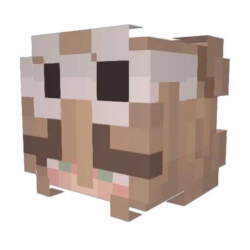 FartherRelic109 Minecraft avatar head, 3D render
