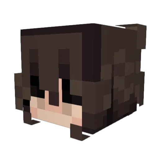Fartsilly Minecraft avatar head, 3D render