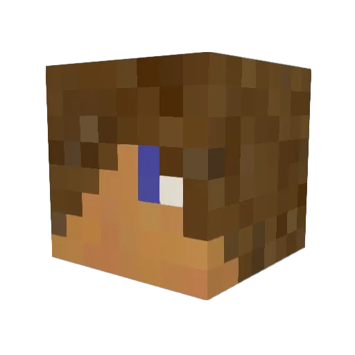 FartyN1 Minecraft avatar head, 3D render