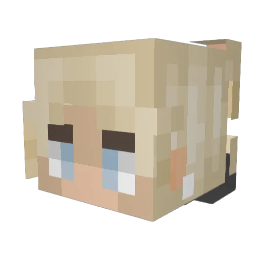 Farvy Minecraft avatar head, 3D render