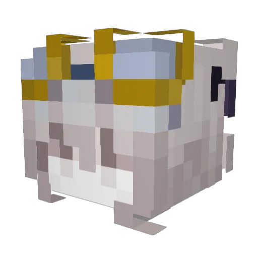 FarwTuh Minecraft avatar head, 3D render